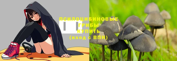 мдпв Медвежьегорск