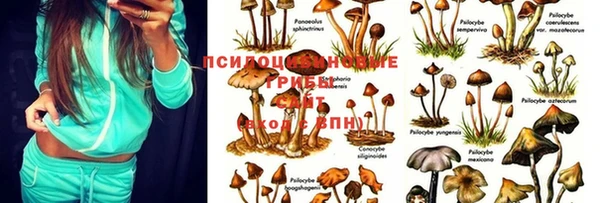скорость Мегион